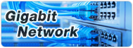 Gigabit Network System